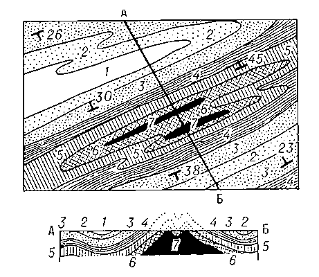 Рис. 3. Геологическая карта, изображающая складчатую структуру: 1 — наиболее молодые слои (в центре синклинали), 7 — наиболее древние (в ядре антиклинали); внизу разрез по линии АБ.