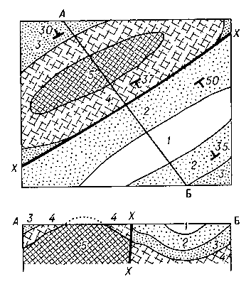 Рис. 4. Складка, разорванная сбросом Х — X, 1 — наиболее молодые слои, 5 — наиболее древние; внизу разрез по линии АБ.