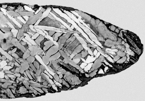 Видманштеттовы фигуры на протравленной поверхности железного метеорита Чабанкол, найденного в 1938 в Новосибирской обл.