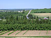 Raspberry farm.jpg