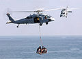 MH-60S Sea Hawk.jpg