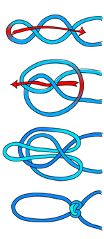 Alpine butterfly knot diagram.png