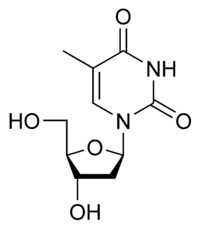 Тимидин: химическая формула