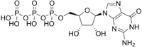 Гуанозинтрифосфат: химическая формула