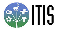 Логотип Объединённой таксономической информационной службы