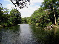 View of the Tsavo River in Tsavo West National Park (edited).jpg