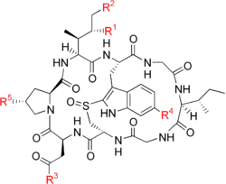 Общая химическая структура аматоксинов