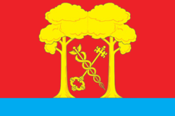 Flag of Perevalovskoe (Tyumen oblast).png