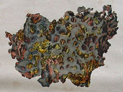 Krasnojarsk meteorite old.jpg