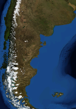 Patagonian-419px.png