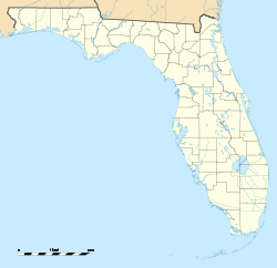 Таллахасси (Флорида)