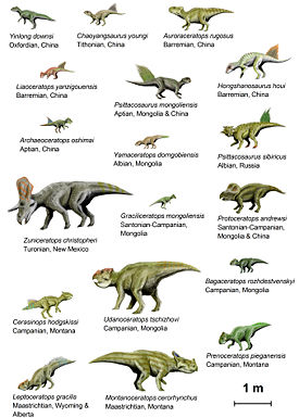 Цератопсы (инфраотряд динозавров)
