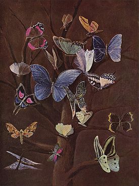 Бабочки на картине В. фон Каульбаха (ок. 1860)