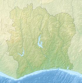 Тай (национальный парк) (Кот-д’Ивуар)