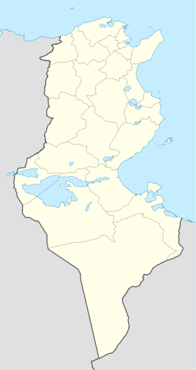 Тунисское озеро (Тунис)