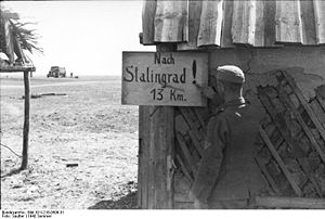 Bundesarchiv Bild 101I-218-0506-31, Russland-Süd, bei Stalingrad, Hinweisschild.jpg