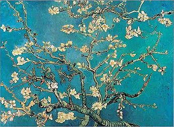 Van Gogh Almond blossom.jpg