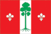 Flag of Barvichinskoe municipal division.gif