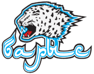 логотип ХК Барыс