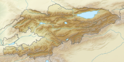 Карадарья (Киргизия)