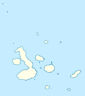 Дарвин (остров) (Галапагосские острова)