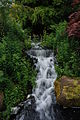 Waterfall, Edinburgh Botanical Garden.jpg